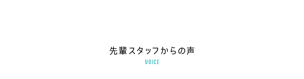 先輩スタッフからの声