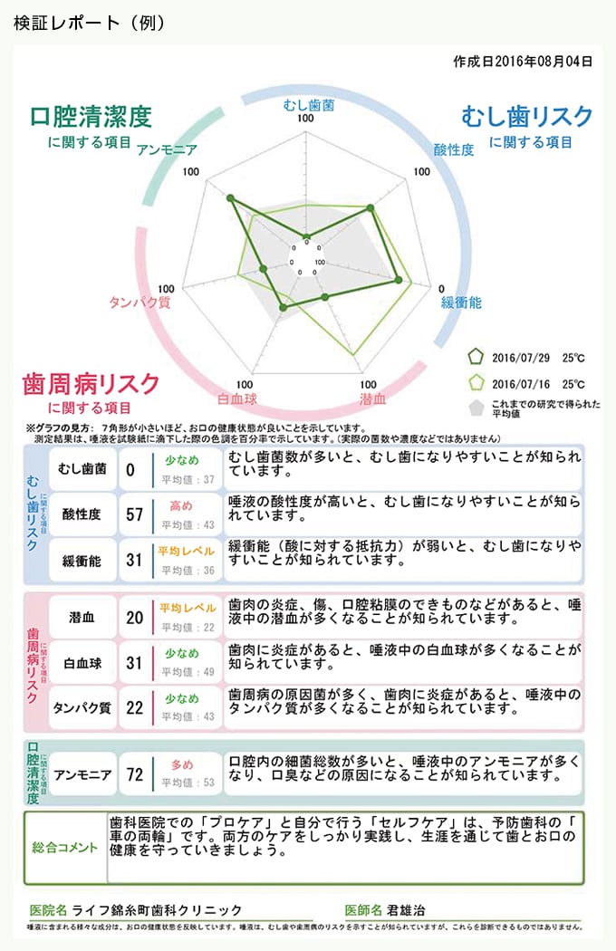 検証レポート